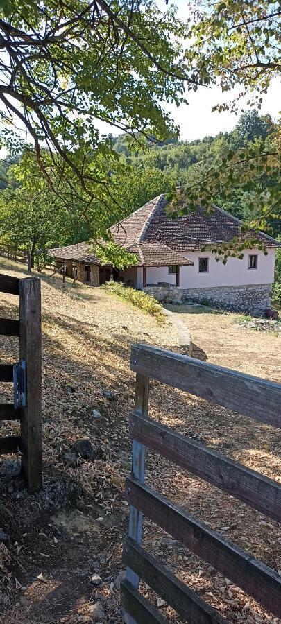 Poljoprivredno Turisticko Domacinstvo Deguric Apartment Valjevo Bagian luar foto